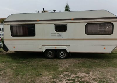 WILK SAFARI